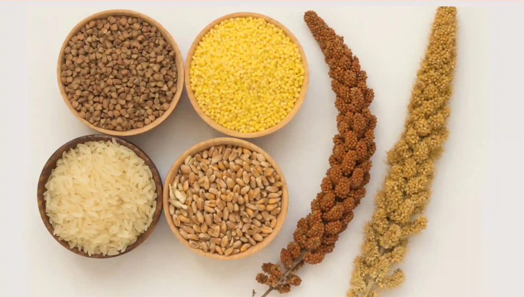 Millet Foods | Best Practice to Use Millets For Weight Loss